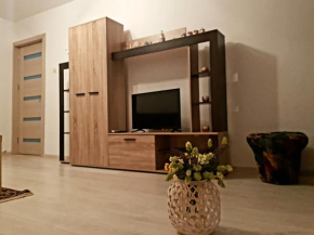 Apartament Faleza Unirii